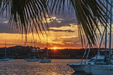 Porec Hırvatistan 07.07.24 Golden Ray 'ler sakin bir körfeze dökülürken yelkenliler suyun üzerinde dinleniyor. Bereketli palmiye yaprakları canlı günbatımını çerçeveler, alacakaranlıkta pitoresk bir tropik manzara yaratır..