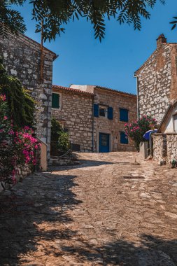 Vrsar Hırvatistan 08.07.24 Vrsar Hırvatistan 'da çiçekli sakin bir cadde