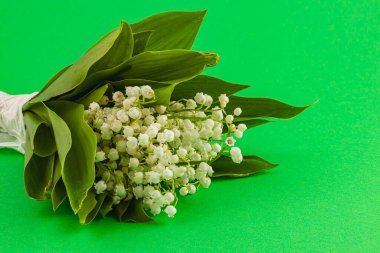 Vadi çiçeklerinin narin nilüferlerinden oluşan bir buket, beyaz çiçeklerini ve yeşil yapraklarını, canlı yeşil bir arka planda sergiliyor..