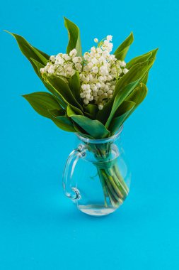 Temiz bir cam sürahiye yerleştirilmiş taze bir buket nilüfer çiçeği canlı mavi bir arka planda duruyor, narin beyaz çiçekleri ve yeşil yapraklarını sergiliyor..