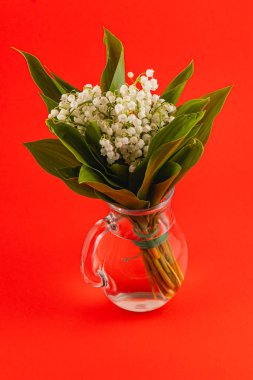 Zarif beyaz çiçekleri ve yeşil yaprakları içeren bir buket nilüfer çiçeği parlak kırmızı bir arkaplanda açık bir cam vazoda sergilenir..