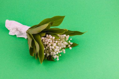 Yeşil yapraklı narin beyaz çiçekler düzgün bir şekilde düzenlenir. Parlak yeşil bir zemin oluşturur. Dekorasyon ya da hediye olarak mükemmel olur..