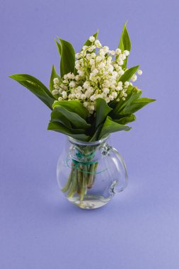 Vadi çiçeklerinden oluşan büyüleyici bir buket nilüfer, berrak cam bir vazoda sergilenir. Narin beyaz çiçekler, canlı yeşil yapraklarla çok güzel tezat oluşturuyor..