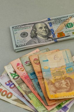 Different banknotes of various denominations and currencies are arranged on a gray background, showcasing their colorful designs and unique features.