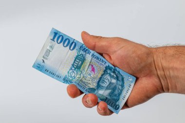 A person holds a blue 1000 banknote in their hand, showcasing intricate designs. Natural light highlights the details of the currency and the hand.