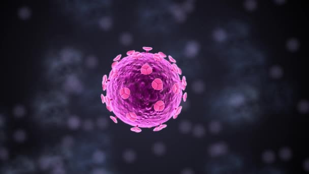 Hiv 바이러스는 모양의 캡시드 Rna 둘러싸여 — 비디오