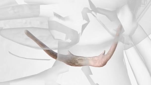 Hyoid Bone Hyoid Small Shaped Horseshoe Shaped Solitary Bone Situated — Video