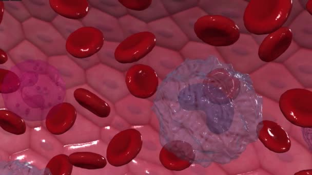 Eosinofiler Flera Vita Blodkroppar Som Stöder Ditt Immunförsvar — Stockvideo