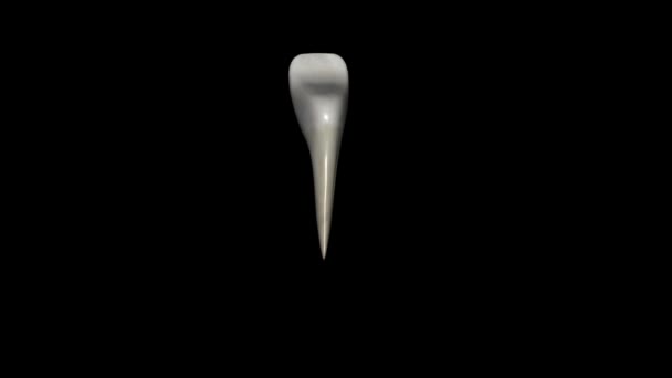 Mandibular Lateral Kesici Diş Iki Çenenin Dişlerinden Iki Alt Çenenin — Stok video