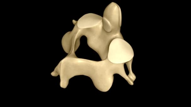 C2椎体 也被称为螺旋体 Epistropheus 形成了第一个颈椎的枢轴 Atlas — 图库视频影像