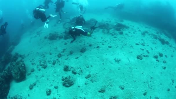 Schwarm Von Schnappern Wunderschönen Meeresboden Der Andamanen Inseln Unterwasserwelt Auf — Stockvideo