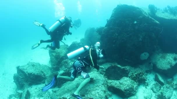 Hejno Chňapalů Nádherném Mořském Dně Andamanských Ostrovů Podvodní Život Barevných — Stock video