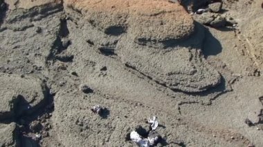 Galapagos Adaları 'ndaki gayzerler vadisinde sert kumlu toprak. Gayzerlerin yoğun sıcaklığı bilim insanlarına ilham veren bir manzara yaratır. Gayzerler Galapagos Adaları ekosisteminde önemli bir rol oynamaktadır.