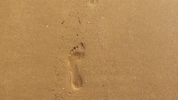 Menschlicher Fußabdruck Auf Hartem Vulkanischen Sand Auf Den Galapagos Inseln — Stockvideo