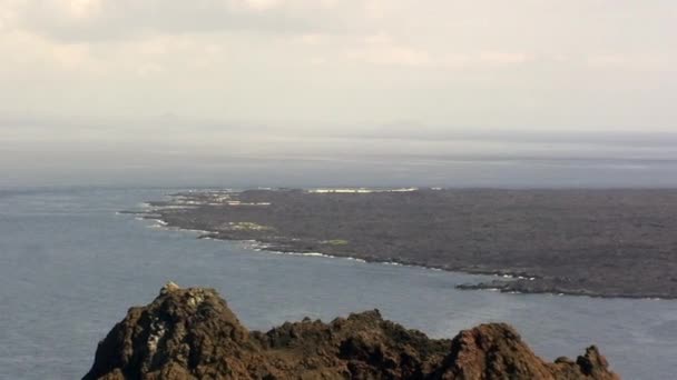 Galapagos Adaları Nın Çarpıcı Okyanus Kıyıları Vahşi Yaşam Manzarası Için — Stok video