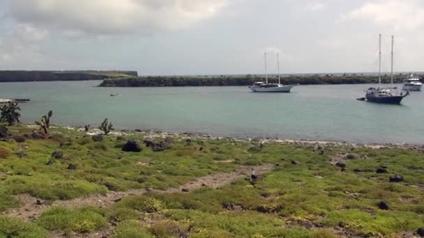 Jachten Voor Pacifische Kust Van Galapagos Eilanden Prachtige Oceaankust Van — Stockvideo
