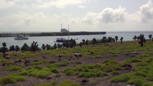 Яхты Возле Дикого Фантастического Тихоокеанского Побережья Галапагосских Островов Тихий Океан — стоковое видео