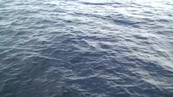 Veden Pinta Tyynenmeren Galapagossaarten Tyynimeri Galapagossaaret Tarjoavat Upeat Puitteet Henkeäsalpaaville — kuvapankkivideo