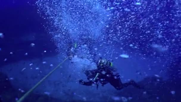 Tichý Oceán Kostarika Září 2021 Odvážný Potápěč Klesá Dno Oceánu — Stock video