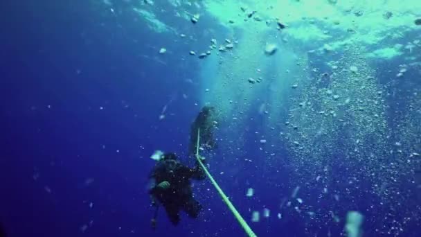 哥斯达黎加 太平洋 2021年9月5日 潜水者通过电缆下降到海底 清澈水面和气泡背景下的海底电缆潜水 — 图库视频影像