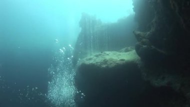 Bahamalar 'daki Karayip Denizi' nde deniz kıyısında kabarcıklar. Bahamalar 'da birçok popüler dalış alanı vardır ve bunların en ünlüleri Andros Bariyer Resifi, Exumas ve Abacos' tur..