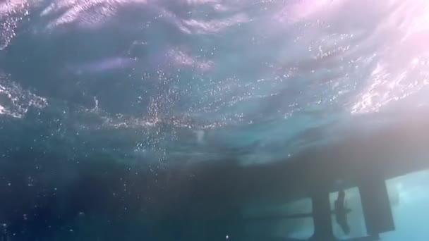 水面尽收眼底 美丽的阳光在水下闪耀 无论是通过潜水 潜水还是水下摄影 — 图库视频影像