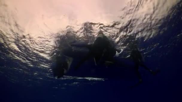 太平洋 コスタリカ 9月5 2021 プロのダイバーのグループは 水の上にボートの近くにプロのダイバーの透明かつ輝く水のグループの輝く表面を背景にボート — ストック動画