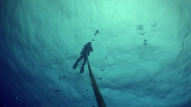 Pacific Ocean Costa Rica September 2021 Diver Descends Rope Water — Stock Video