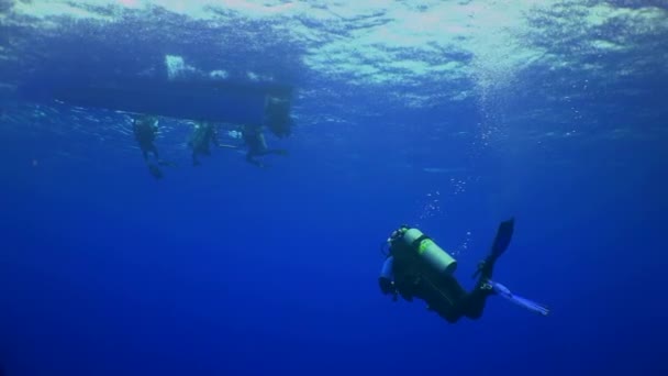 Stilla Havet Costa Rica September 2021 Undervattensdykare Simmar Mot Grupp — Stockvideo