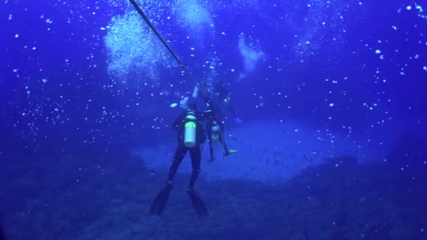 太平洋 コスタリカ 2021年9月5日 ダイバーは海底にケーブルで降下します 澄んだ水と泡を背景にケーブルでダイバーの水中ダイビング — ストック動画