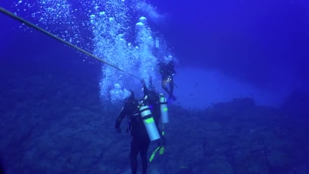 코스타리카의 태평양 2021 다이버가 케이블을 밑으로 내려가다 두려움 잠수하는 잠수부는 — 비디오