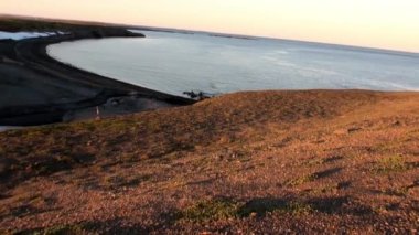 Morslar grup su üzerinde shore Arktik okyanusta Svalbard yakınındaki sakin ol. Yaban hayatı. Nordic badlands tehlikeli hayvanlarda. Arka plan doğal manzara Spitsbergen, tarihinde benzersiz görüntüleri.
