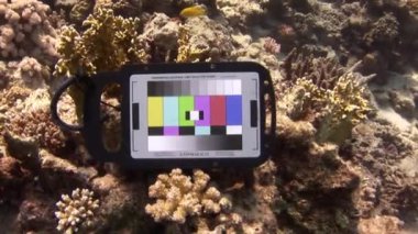 Kızıl Deniz, Mısır - 27 Ağustos 2017: Su altı mercan resiflerindeki video kamera monitörü. Zengin deniz yaşamından berrak sulara kadar Kızıl Deniz 'de dalış unutulmaz bir maceradır..