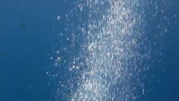 Sualtı Okyanusundaki Kabarcıklar Büyüleyici Olgulardır Baloncuklar Mikroskobik Boyuttan Birkaç Inç — Stok video