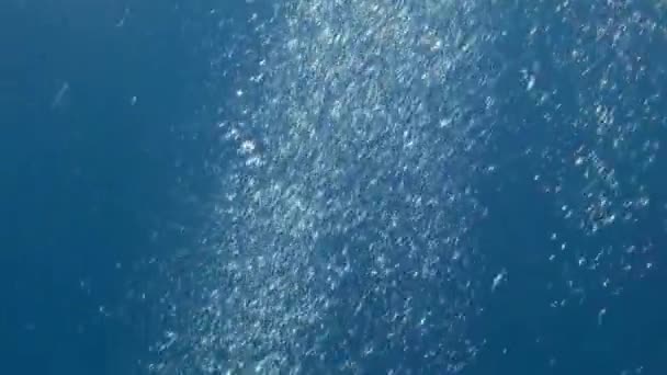 Bubliny Pod Hladinou Oceánu Bubliny Dodávají Vodě Zajímavou Texturu Vzhled — Stock video