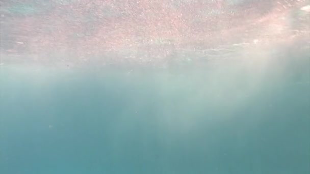海の水の表面近くの太陽の下での泡 泡は海の水に溶解したガスが溶出し 小さな泡を形成するときに作成されます — ストック動画