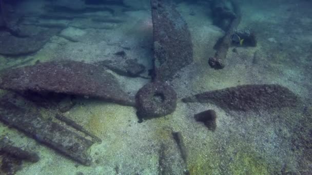 Τμήμα Του Πλοίου Στο Βυθό Της Θάλασσας Υποβρύχια Κόσμος Κρυστάλλινα — Αρχείο Βίντεο