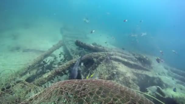 Pod Wodą Ryby Pływają Wokół Wraku Statku Nurkowie Snorkelerzy Mogą — Wideo stockowe