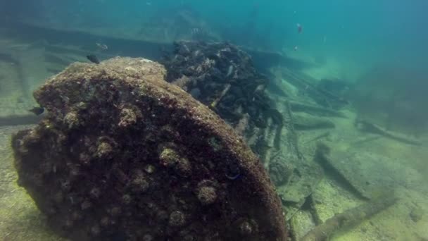 Arabian Sea Oman January 2018 Shipwreck Reef Arabian Sea Diver — Stock Video