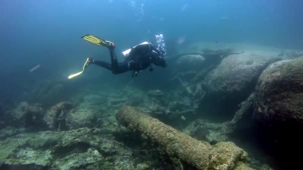 Arabian Sea Oman January 2018 Diver Swimming Arabian Sea Shipwreck — Stock Video