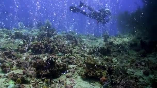 Ocean Indyjski Malediwy Września 2019 Podwodne Tło Koralowe Ciemnoniebieska Woda — Wideo stockowe