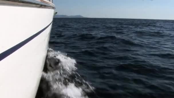 Foam Waves Water Camera Movement Yacht Yachting Sport Sea Journey — Stock Video
