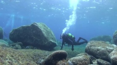 La Palma, Kanarya Adaları - 12 Sep 2012: Atlantik Okyanusu 'nda basınç kaybı yaşayan bir grup dalgıç. İnanılmaz ender görüntüler. İspanya 'nın berrak sularında tüplü dalış.