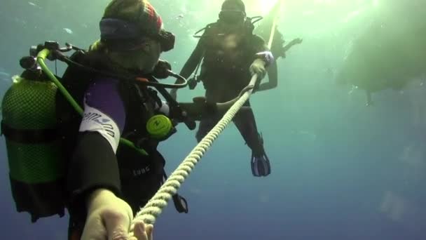 Palma Canary Islands Sep 2012 Group Divers Underwater Decompression Atlantic — 图库视频影像