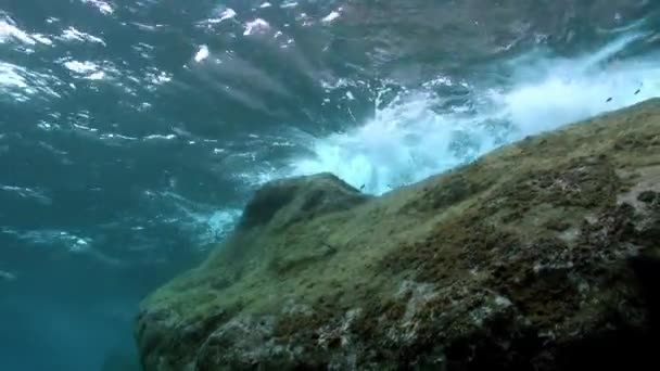 Пальма Канарские Острова Сен 2012 Группа Дайверов Водой Декомпрессии Атлантическом — стоковое видео
