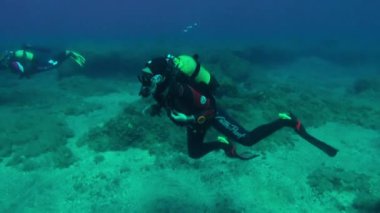 La Palma, Kanarya Adaları - 12 Sep 2012: Atlantik Okyanusu 'nda basınç kaybı yaşayan bir grup dalgıç. İnanılmaz ender görüntüler. İspanya 'nın berrak sularında tüplü dalış.