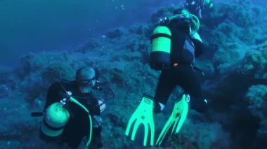 La Palma, Kanarya Adaları - 12 Sep 2012: Atlantik Okyanusu 'nda basınç kaybı yaşayan bir grup dalgıç. İnanılmaz ender görüntüler. İspanya 'nın berrak sularında tüplü dalış.