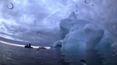 Kuzey Buz Denizi 'nin soğuk ve berrak sularında yüzen sualtı videoları ve deniz sakinleri. Deniz canlılarının inanılmaz, güzel deniz yaşamı dünyası. Tüplü dalış ve turizm.