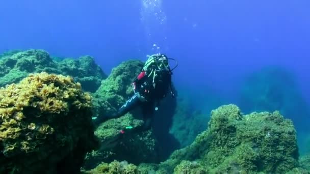 Palma Kanarische Inseln September 2012 Tauchergruppe Unter Wasser Bei Dekompression — Stockvideo