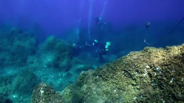 Flounder Peces Nada Rápidamente Bajo Agua Fondo Buceadores Flotantes Fondo — Vídeos de Stock